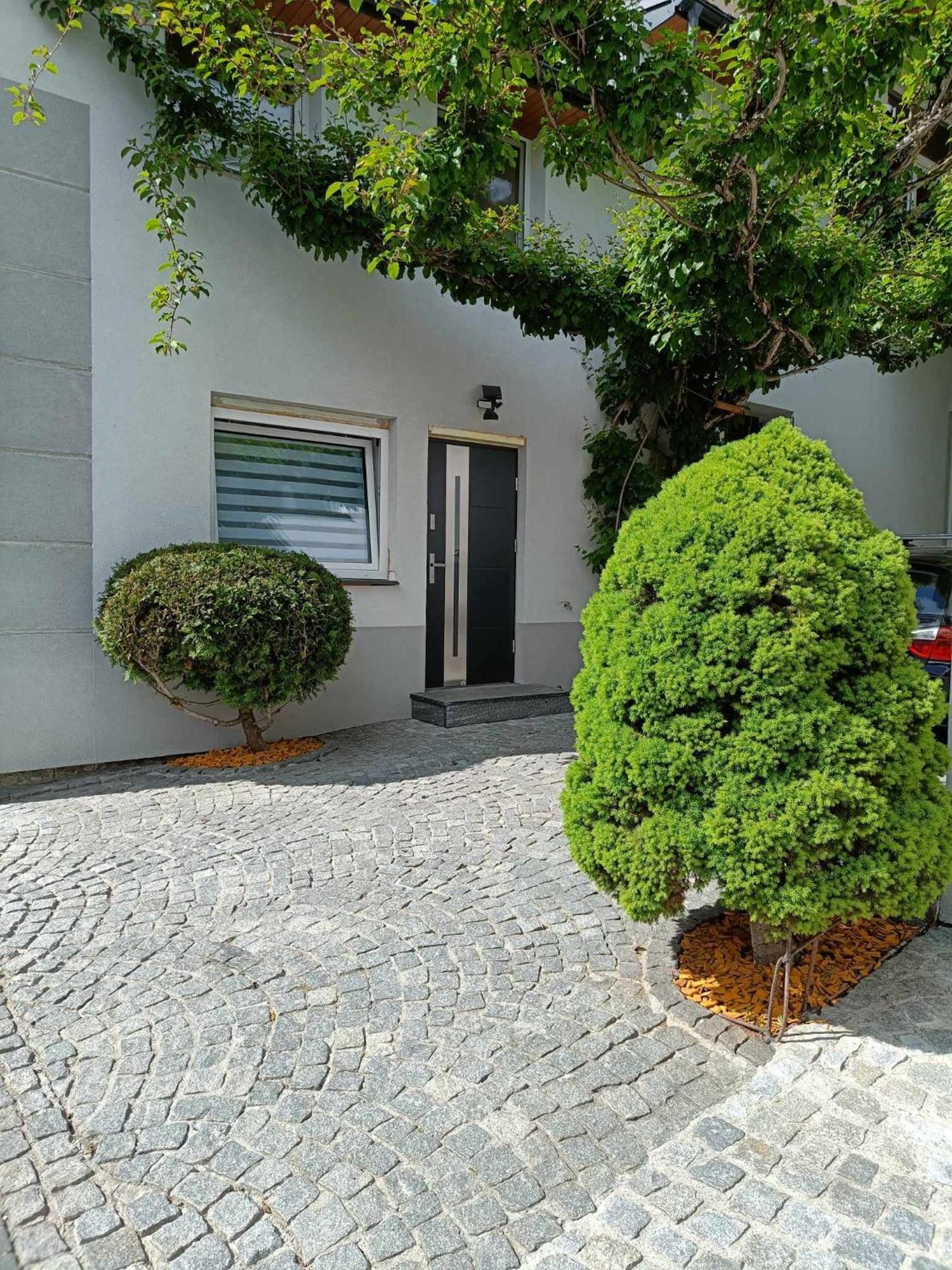 Kiwi Apartament Muszyna Bagian luar foto